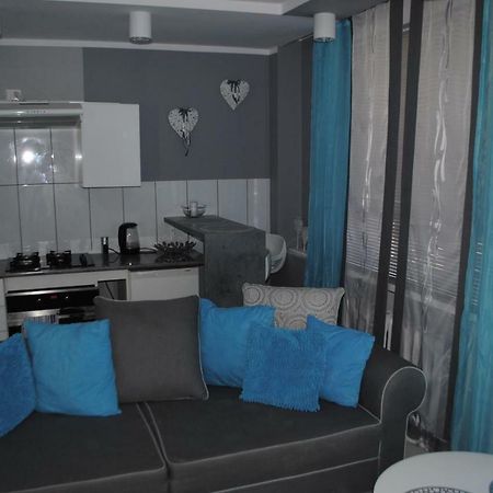 Apartament Bulwar ゴジュフ・ヴィエルコポルスキ エクステリア 写真
